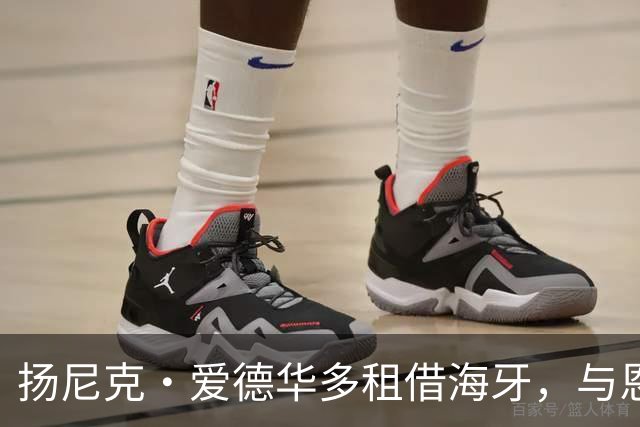 扬尼克·爱德华多租借海牙，与恩师罗宾·彼得重逢