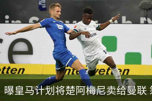 曝皇马计划将楚阿梅尼卖给曼联 筹钱从曼城签罗德里