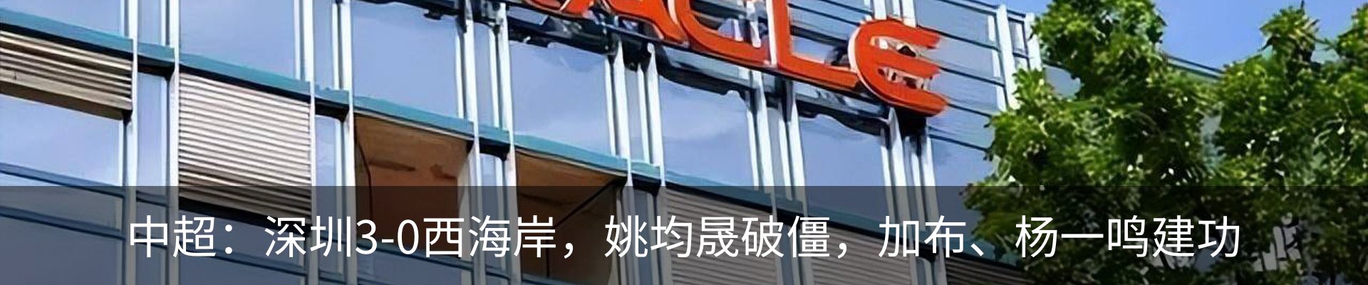 最新动态
