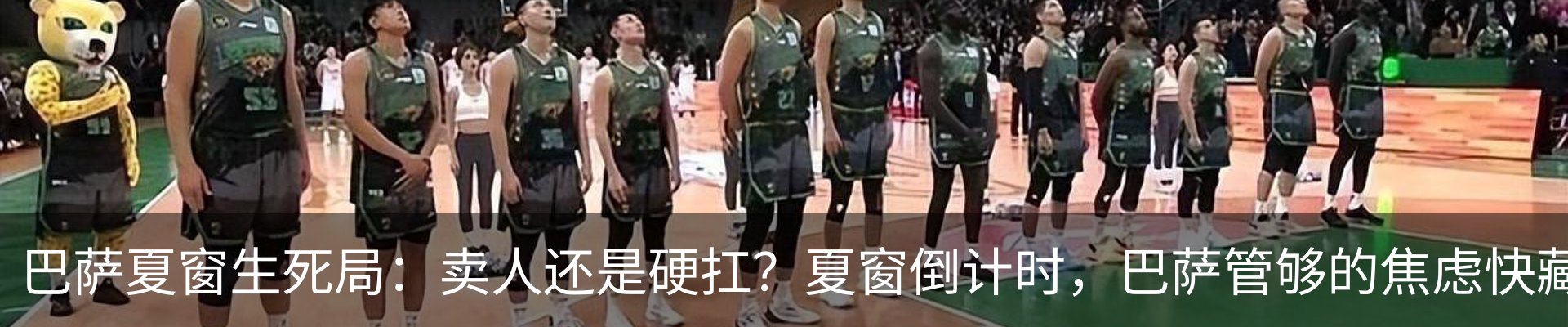 最新动态