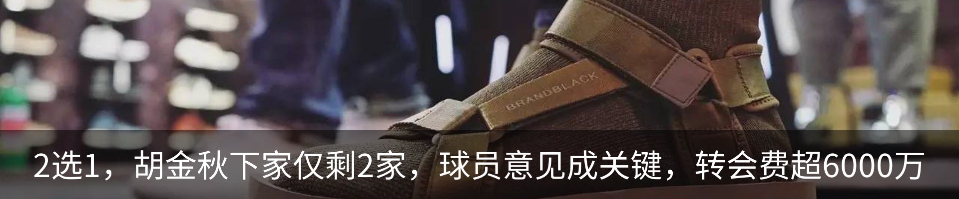 最新动态